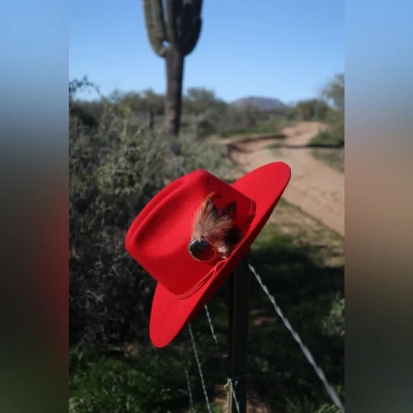 Red Wool Cowboy Hat – Western Felt Hat with feather hat pin vintage stone brooch Serratelli Red Pure Wool 4 1/4 main image 2